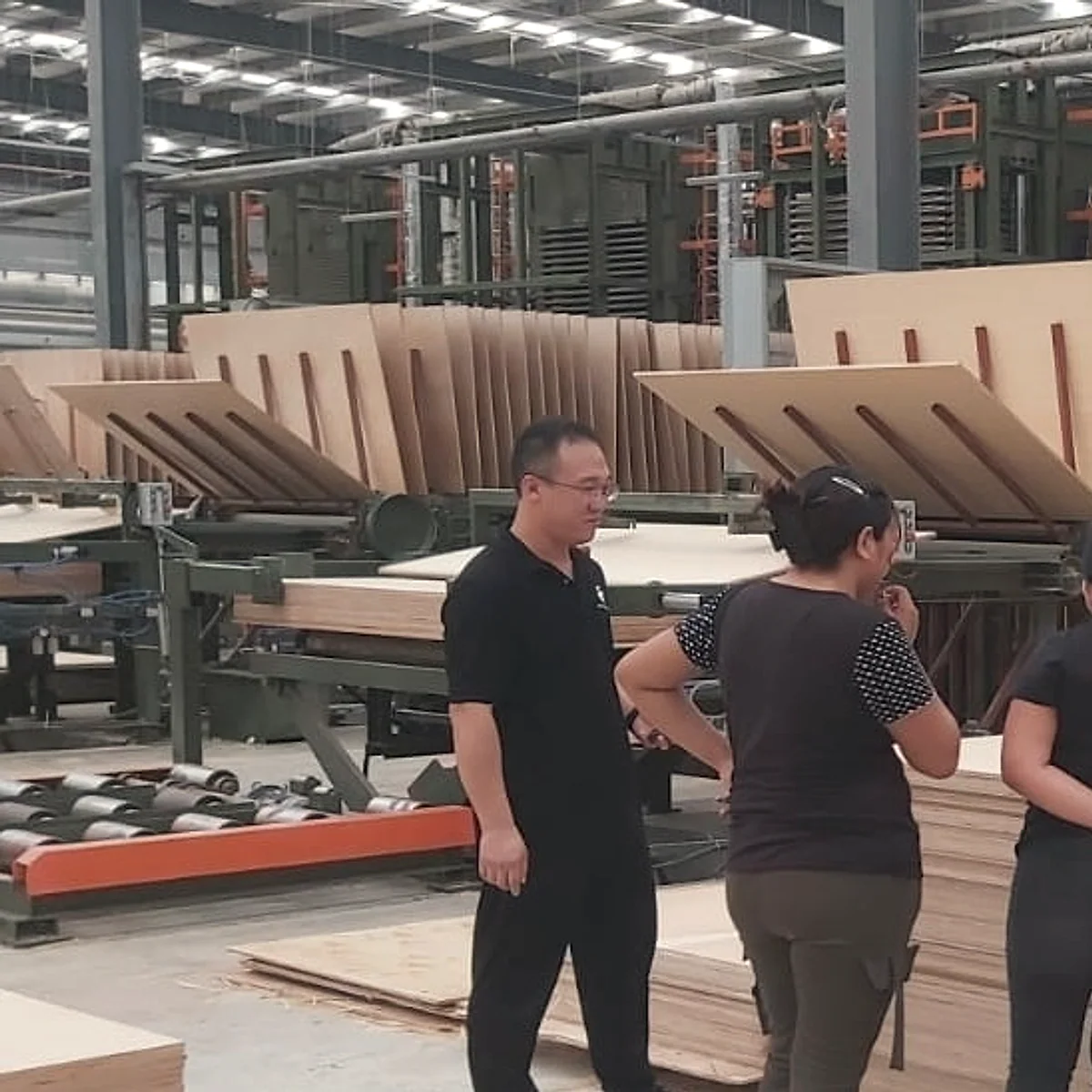 Plywood / furniture-grade panels